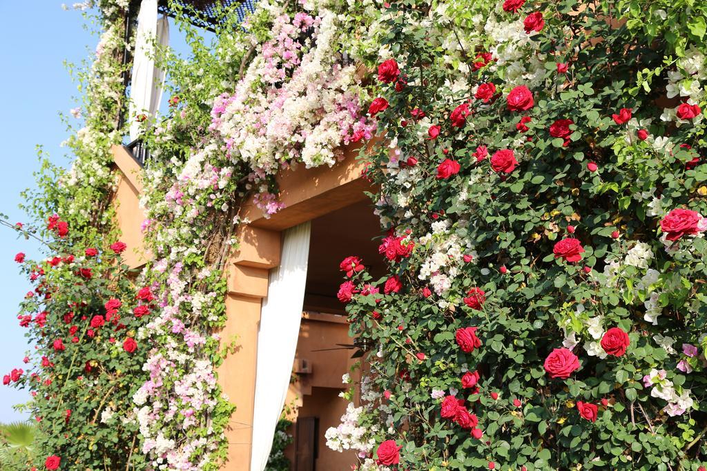 Riad Al Mendili Private Resort & Spa Had Abdallah Rhiat Exterior foto