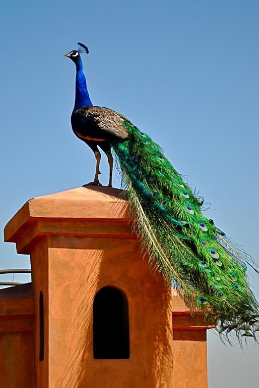 Riad Al Mendili Private Resort & Spa Had Abdallah Rhiat Exterior foto